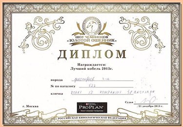 фокстерьер  РОККИ ИЗ КОМПАНИИ СЕБАСТЬЯНА питомник ИЗ КОМПАНИИ СЕБАСТЬЯНА