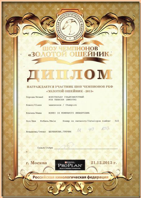 фокстерьер г/ш РОККИ ИЗ КОМПАНИИ СЕБАСТЬЯНА питомник ИЗ КОМПАНИИ СЕБАСТЬЯНА