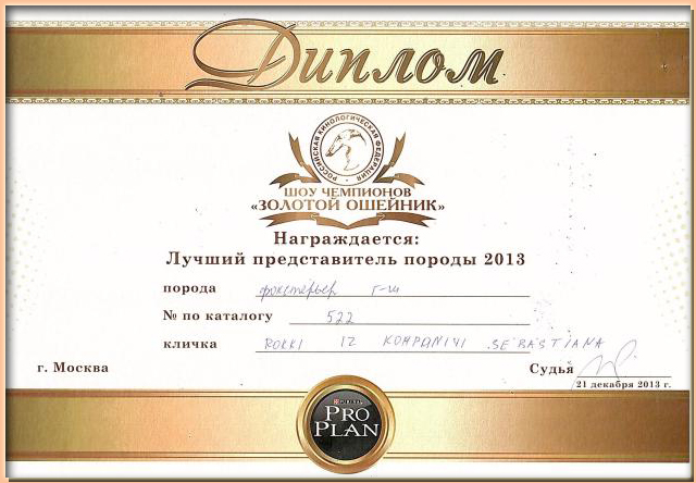 фокстерьер г/ш РОККИ ИЗ КОМПАНИИ СЕБАСТЬЯНА питомник ИЗ КОМПАНИИ СЕБАСТЬЯНА