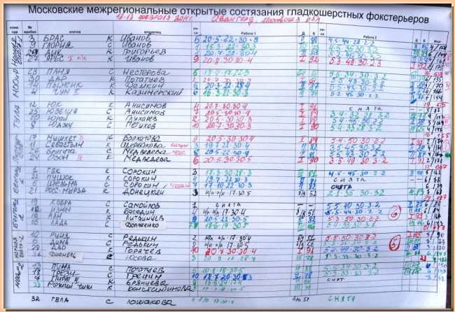 сводная таблица состязаний 2011...