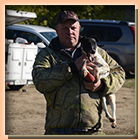 питомник г/шерстных фоксов