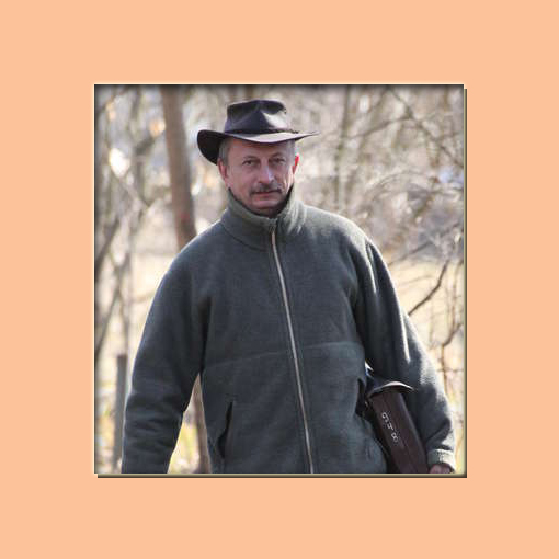 состязания гладких фокстерьеров