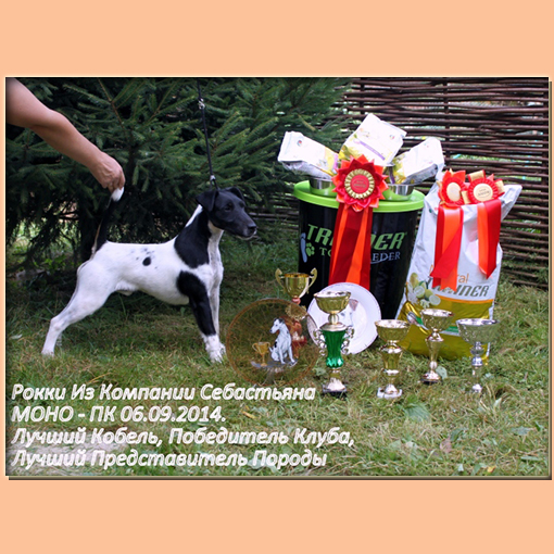 6 сентября 2014 прошла монопородная выставка ранга Победитель Клуба