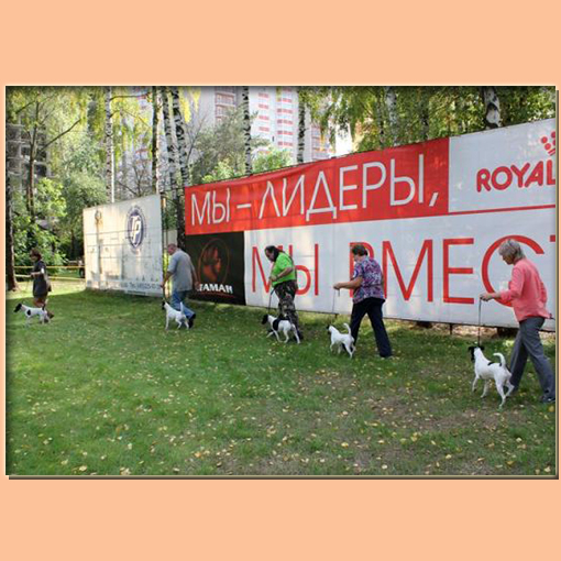 6 сентября 2014 прошла монопородная выставка ранга Победитель Клуба
