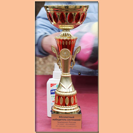 4-5 апреля 2015 г. на ИПС АВАНГАРД Московской области прошел Чемпионат России среди такс и норных терьеров по норе 8-ка.